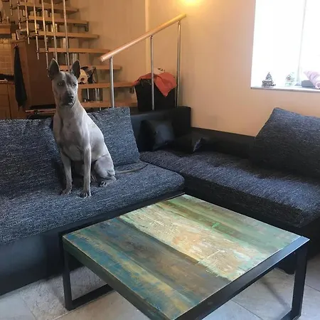 Rustico Sopra * Brissago