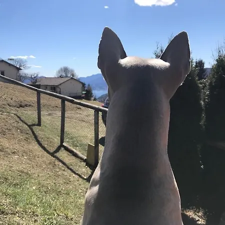 Rustico Sopra Brissago