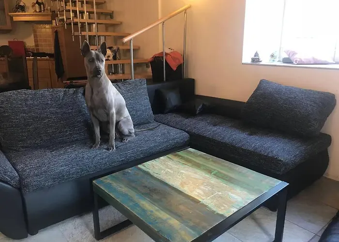 Rustico Sopra * Brissago TI